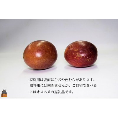 《収穫開始!》とくのしま中島農園さんの家庭用パッションフルーツ(約1.5kg)