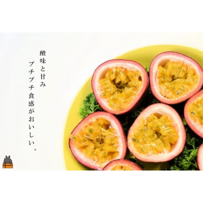 《収穫開始!》とくのしま中島農園さんの家庭用パッションフルーツ(約1.5kg)