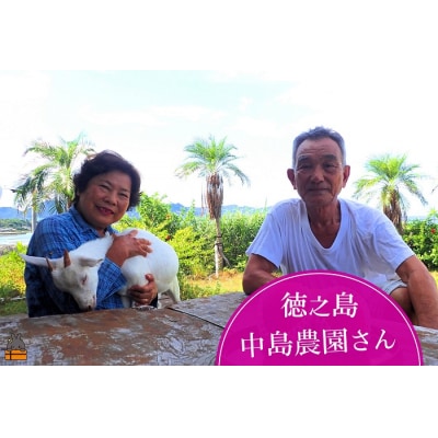 《今が旬!》とくのしま中島農園さんの家庭用パッションフルーツ(約1.5kg)