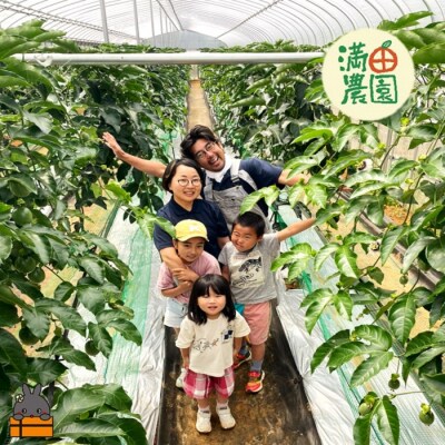 【今が旬!】満田農園さんのパッションフルーツ(約600g)