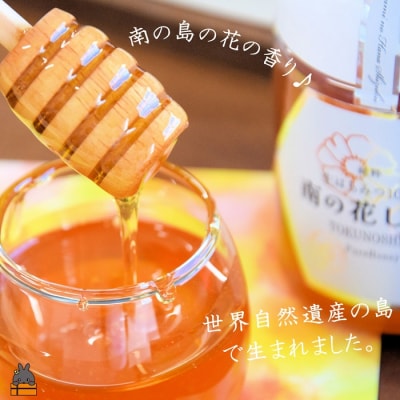 世界自然遺産の島の生はちみつ100%♪純粋 南の花しずく(600g(300g×2本))
