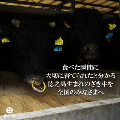 《11月末配送お約束》徳之島が世界に誇る“のざき牛”ロースすき焼きギフト