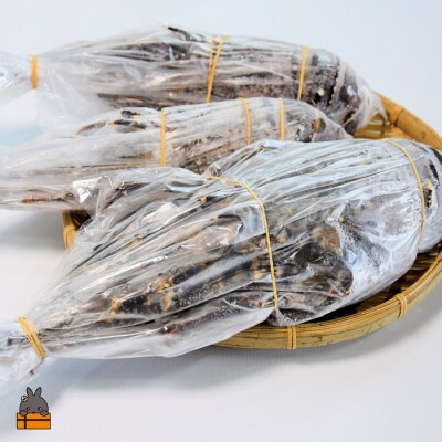 【地魚専門店 鮮魚 魚一さん直送】~徳之島獲れ!伊勢海老~(約3kg)