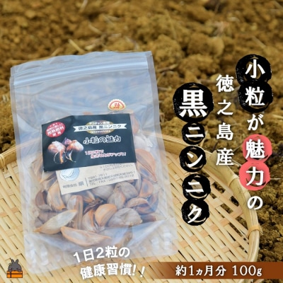 �`�������̏���������!�`���V���Y���j���j�N(100g)