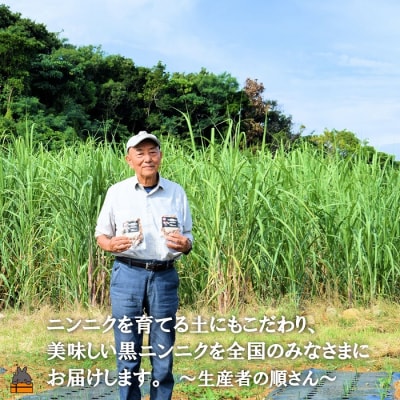  ～こだわりの小粒が魅力!～徳之島産黒ニンニク(100g) 