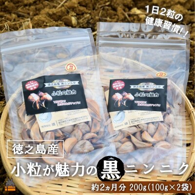 ～こだわりの小粒が魅力!～徳之島産黒ニンニク(200g(100g×2袋)) 