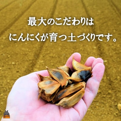～こだわりの小粒が魅力!～徳之島産黒ニンニク(200g(100g×2袋)) 