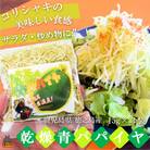 水で戻して手軽にお料理!徳之島産乾燥青パパイヤ(15g×3袋)