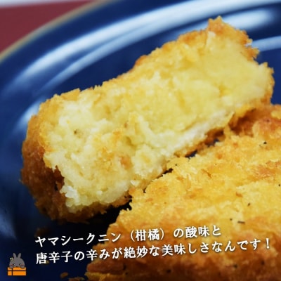 【2026年4月以降配送】某テレビ番組で紹介されました!徳之島の唐辛子コロッケ(20個)