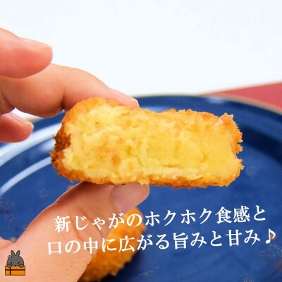 徳之島新じゃが使用!2種のコロッケ&徳之島の豚メンチカツ食べ比べ(15個)