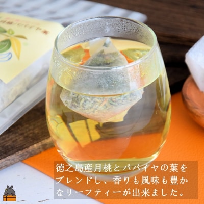 徳之島の癒しのリーフティー♪月桃パパイヤ茶(2g×20包)