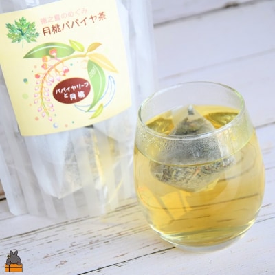 徳之島の癒しのリーフティー♪月桃パパイヤ茶(2g×20包)