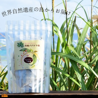 徳之島の癒しのリーフティー♪月桃パパイヤ茶(2g×20包)