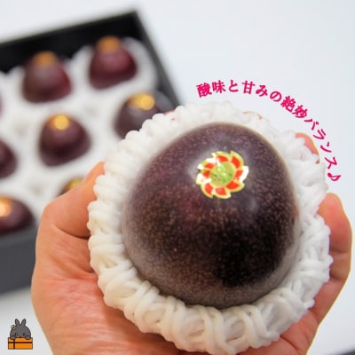 【今が旬!】世界自然遺産の島からお届け!内山果樹園さんのパッションフルーツ(1kg)