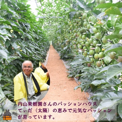 【今が旬!】世界自然遺産の島からお届け!内山果樹園さんのパッションフルーツ(1kg)