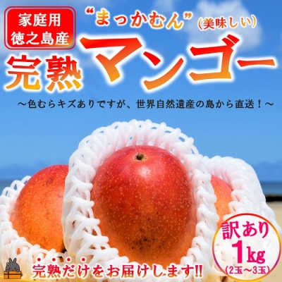 ≪旬到来!随時配送中!≫訳あり!【家庭用】徳之島産完熟マンゴー1kg(2～3玉)