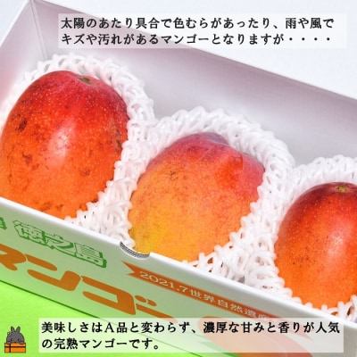 ≪旬到来!随時配送中!≫訳あり!【家庭用】徳之島産完熟マンゴー1kg(2～3玉)