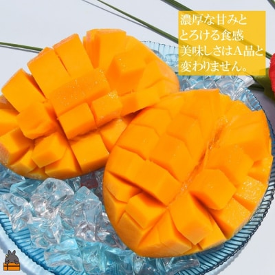 ≪旬到来!随時配送中!≫訳あり!【家庭用】徳之島産完熟マンゴー1kg(2～3玉)