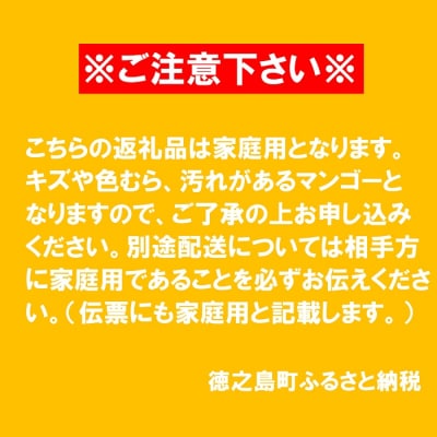 ≪先行予約≫訳あり!【家庭用】徳之島産完熟マンゴー1kg(2～3玉)