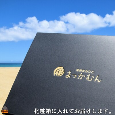《今が旬!》まっかむん(おいしいもの)をお届け!徳之島産パッションフルーツ(800g)