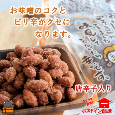 ～コク旨!ピリ辛!～徳之島のみそ豆唐辛子入り(2袋)【ポストイン配送】