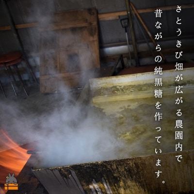 《今が旬!》～人生で1度は食べてほしい～徳之島の純黒糖(2袋)【ポストイン配送】
