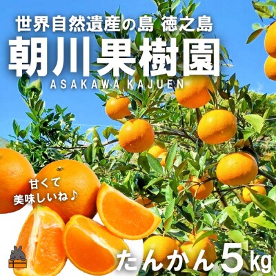《先行受付》～世界自然遺産の島から～朝川果樹園さんのたんかん(5kg)