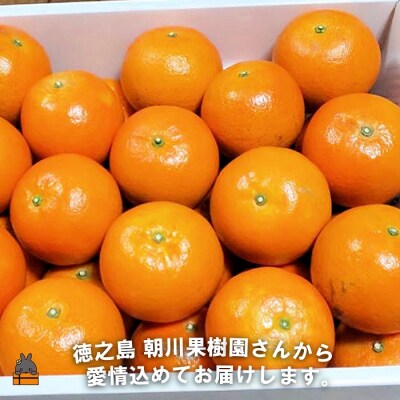 《まもなく旬!》~世界自然遺産の島から~朝川果樹園さんのたんかん(10kg)