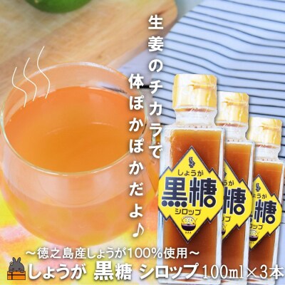 徳之島産しょうが100%使用!体ぽかぽか!しょうが黒糖シロップ(100ml×3本)