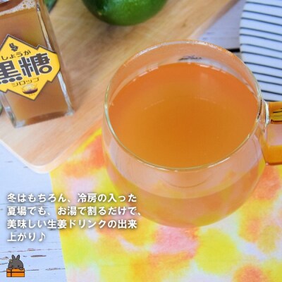 徳之島産しょうが100%使用!体ぽかぽか!しょうが黒糖シロップ(100ml×2本)