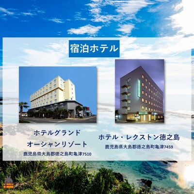 奄美航空ツーリスト徳之島営業所 旅行ギフト券(6,000円分)