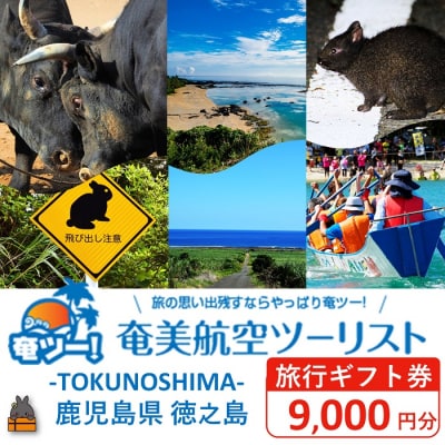 奄美航空ツーリスト徳之島営業所 旅行ギフト券(9,000円分)
