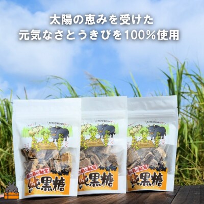 世界自然遺産 徳之島産さとうきび100%使用 徳之島の純黒糖(3袋)