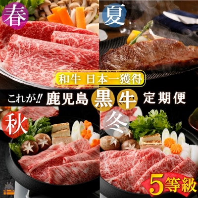 《和牛日本一獲得》5等級 これが!!鹿児島黒牛定期便 (年間4回お届け) 