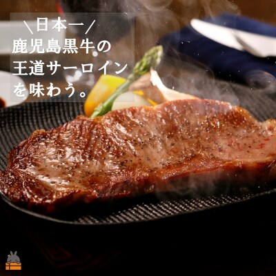 《和牛日本一獲得》5等級 これが!!鹿児島黒牛定期便 (年間4回お届け) 