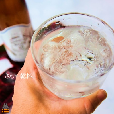 《蔵元直送便》大人が楽しむ国産ホワイトラム酒(スピリッツ)ルリカケスホワイト40度900ml×10本