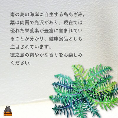 南の島育ちの素敵なバスソルトセット ( 島あざみ × ヤマシークニン ) 入浴剤
