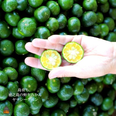 南の島育ちの素敵なバスソルトセット ( 島あざみ × ヤマシークニン ) 入浴剤