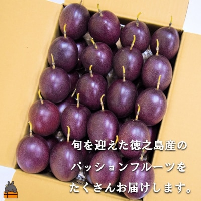 《まもなく旬》 徳之島 幸(こう)果樹園さんのパッションフルーツ(3kg)