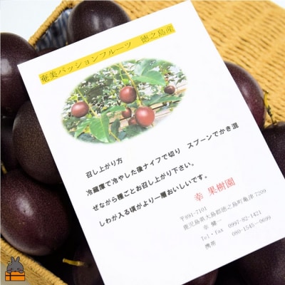 《まもなく旬》 徳之島 幸(こう)果樹園さんのパッションフルーツ(3kg)