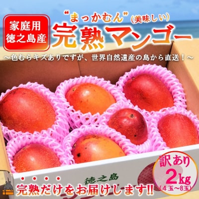  ≪先行予約≫訳あり!【家庭用】徳之島産完熟マンゴー2kg(4～8玉)