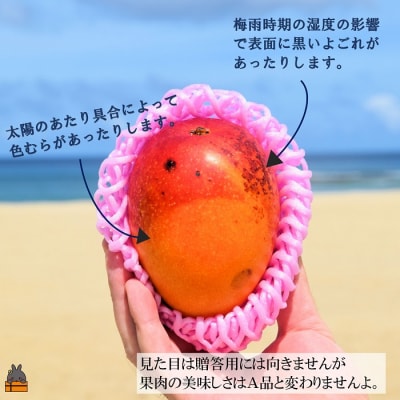  ≪先行予約≫訳あり!【家庭用】徳之島産完熟マンゴー2kg(4～8玉)