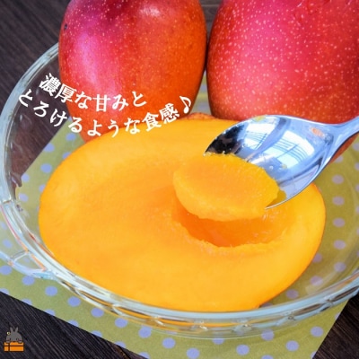  ≪先行予約≫訳あり!【家庭用】徳之島産完熟マンゴー2kg(4～8玉)