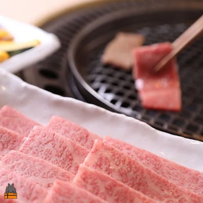 《年末お届け!》毎回約700頭から厳選された 鹿児島黒毛和牛 霜降り焼肉 600g