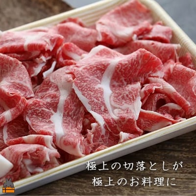 《年末お届け!》毎回約700頭から厳選された 鹿児島黒毛和牛 切り落とし 1000g