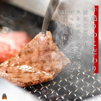 《年末配送!》世界が絶賛した“とろける和牛”幻の石原牛 赤身・霜降り食べ比べ焼肉300g