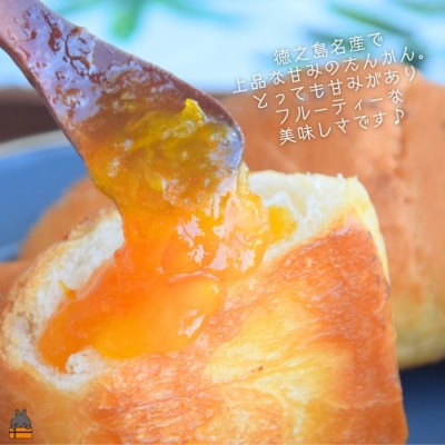 《徳之島町オリジナル!》アマミノクロウサギ共生たんかんジャム 160g　