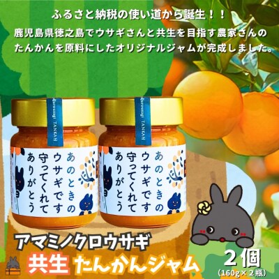 《徳之島町オリジナル!》アマミノクロウサギ共生たんかんジャム 2個(160g×2)