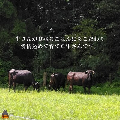 40代からの赤身を極めた鹿児島黒毛和牛切り落とし600g