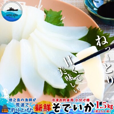 徳之島の漁師が荒波で釣り上げたそでいか 冷凍お刺身用小分け柵 1.5kg(約15人前)